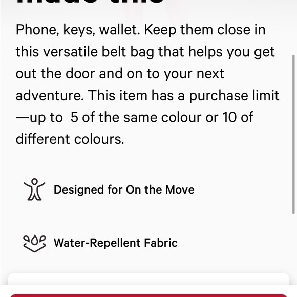 NWT Lululemon Everywhere Belt Bag 1L Silver drop/white in color - Picture 7 of 10